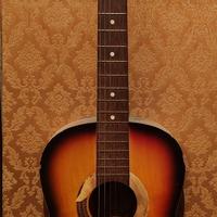 Chitarra classica Ferrarotti (Torino)