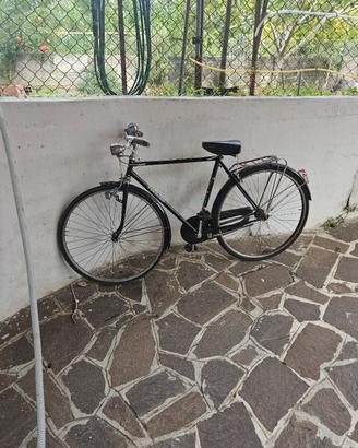 Bici terruzzi 
