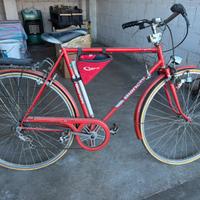 Bicicletta da uomo
