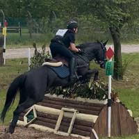 Pony da completo, salto ostacoli