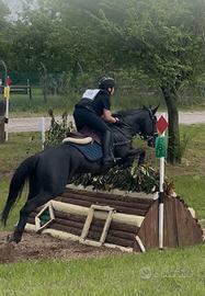 Pony da completo, salto ostacoli