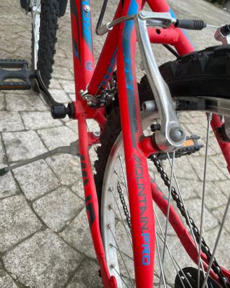 Bicicletta