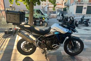 Triumph Tiger 900 ALPINE EDITION 2026