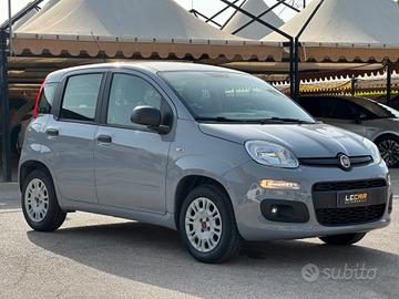 FIAT Panda 1.2 69 CV Easy