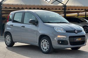 FIAT Panda 1.2 69 CV Easy
