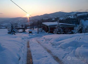 Stalla e Terreno