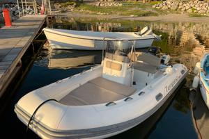 Capelli Tempest 430 con Mercury 30cv