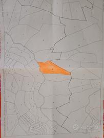 Bosco vicinanze Ceva