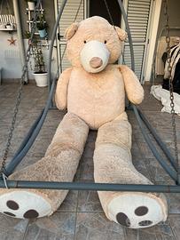 Orso teddy