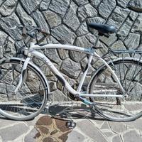 Bicicletta in alluminio