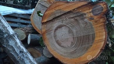 Tronchi di ciliegio per tavole