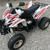 Quad Aeon Cobra 400