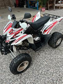 Quad Aeon Cobra 400