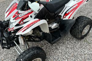 Quad Aeon Cobra 400