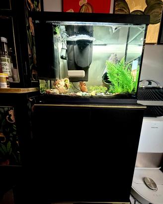 Acquario 100 litri