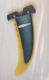 pinna windsurf 