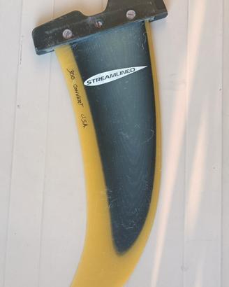 pinna windsurf 