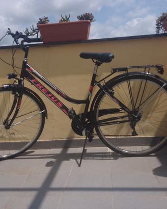 Trekking bike