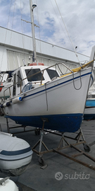 Barca a motore pilotina