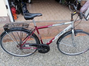 Bicicletta da uomo