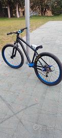 Wheelie Bike