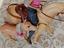Immagine 5