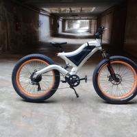 e-bike da montagna 
