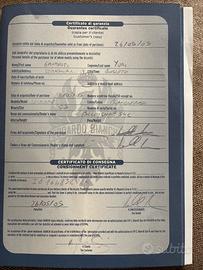 Bici da corsa bianchi