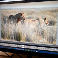 ASUS ProArt PA348CGV - Monitor Professionale 34"