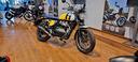 royal-enfield-interceptor-bear-wild-honey