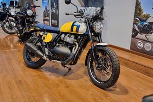 Royal Enfield Interceptor Bear Wild Honey