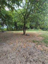 Appartamento in bifamiliare con giardino privato