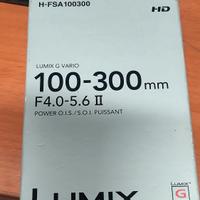 Panasonic LUMIX G VARIO 100-300mm F4.0-5.6 II 