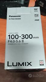 Panasonic LUMIX G VARIO 100-300mm F4.0-5.6 II 