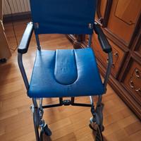 sedia a rotelle 