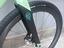 Immagine 6