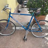 Bicicletta vintage  “Lee Cougan”  RC Duel.