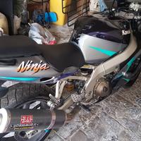 Kawasaki Ninja ZX-9 - 2002