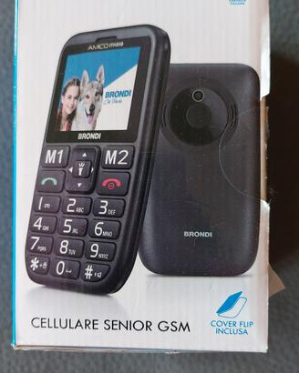 Brondi Amico Stiloso cellulare senior