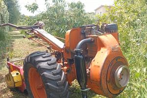 motocoltivatore Goldoni 