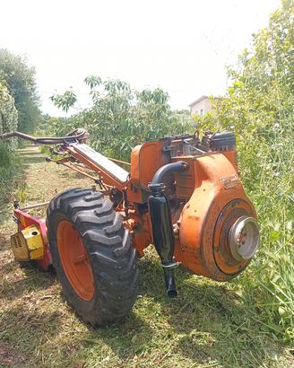 motocoltivatore Goldoni 