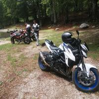 Suzuki GSX S 750 - 2020 Yugen carbon