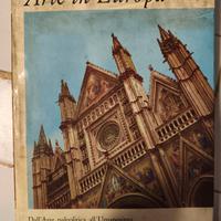 libro #arte in Europa 250 pagine