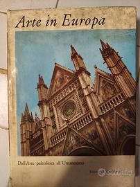 libro #arte in Europa 250 pagine