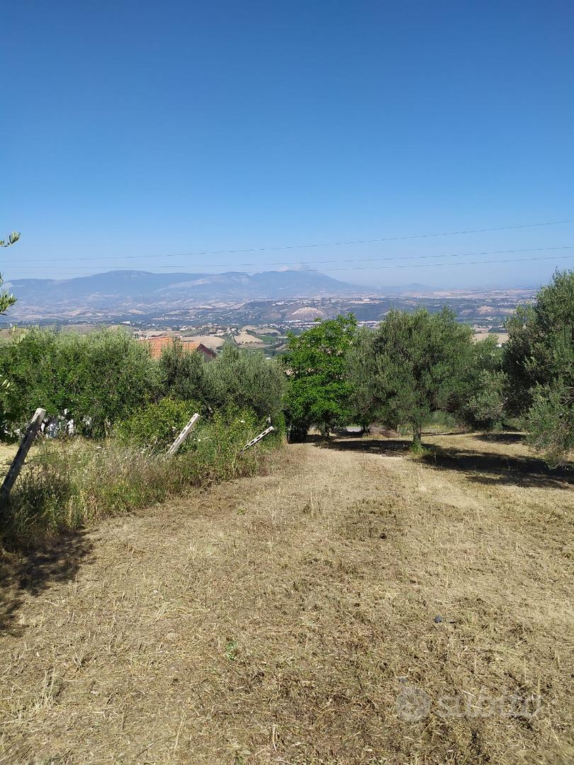 Terreno Edificabile Panoramico - Vista 5
