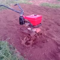 Benassi BL75 professionale