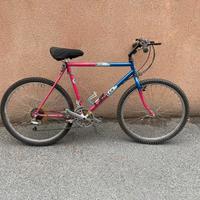 BICICLETTA MOUNTAINBIKE