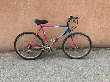 BICICLETTA MOUNTAINBIKE