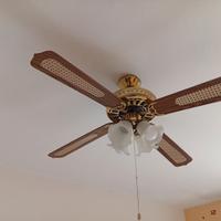 Ventilatori da soffitto con luce