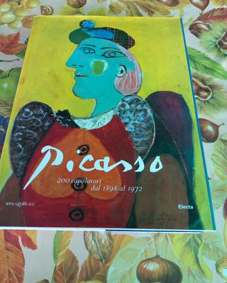 Picasso copertina rigida  